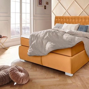 Boxspringbett LEONIQUE Rumba Komplettbetten Gr. Bezug in Samtoptik, Liegefläche B/L: 160 cm x 200 cm, Gewicht bis: 100 kg H3, Taschen-Federkernmatratze, goldfarben Boxspringbett Polsterbetten Seniorenbett ohne Bettkasten Komplettbetten
