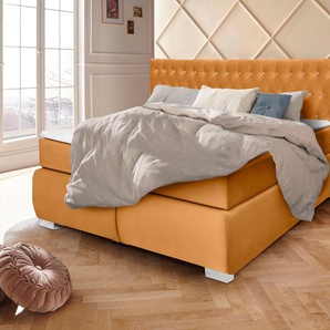 Boxspringbett LEONIQUE Rumba Komplettbetten Gr. Bezug in Samtoptik, Liegefläche B/L: 180 cm x 200 cm, Gewicht bis: 100 kg H3, Taschen-Federkernmatratze, goldfarben Boxspringbett Polsterbetten Seniorenbett ohne Bettkasten Komplettbetten