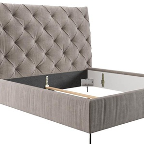 Polsterbett LEONIQUE Maxime Betten Gr. Samtoptik, Liegefläche B/L: 160 cm x 220 cm Betthöhe: 43 cm, kein Härtegrad, silberfarben (silber) Polsterbett Polsterbetten ohne Bettkasten Kopfteilhöhe 143cm, belastbar bis 280 kg, auch in Überlänge 220 cm