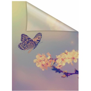 Fensterfolie LICHTBLICK ORIGINAL Schmetterling Blüte Fensterfolien Gr. B/L: 100 cm x 130 cm, orange Fensterdekoration selbstklebend, Sichtschutz