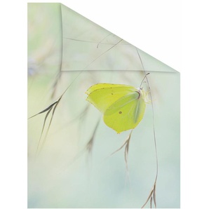Fensterfolie LICHTBLICK ORIGINAL Schmetterling Grün Fensterfolien Gr. B/L: 100 cm x 130 cm, grün Fensterdekoration selbstklebend, Sichtschutz