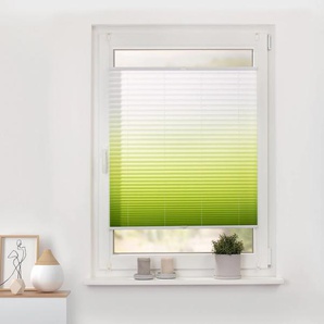 Plissee LICHTBLICK ORIGINAL Klemmfix Farbverlauf Plissees Gr. 130 cm, zweiseitig verschiebbar, 110 cm, grün (grün, weiß, weiß) Plissees ohne Bohren Plissee Faltenstore