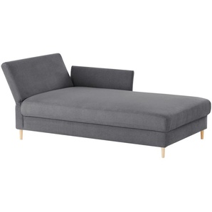 nehl Liege Easy 110 ¦ grau ¦ Maße (cm): B: 116 H: 80 T: 220.0