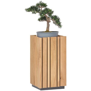 Linea Natura Blumensäule, Eiche, Holzwerkstoff, Holz, Eiche, massiv, 31.5x60x31.5 cm, Wohnzimmer, Wohnzimmertische, Blumenständer
