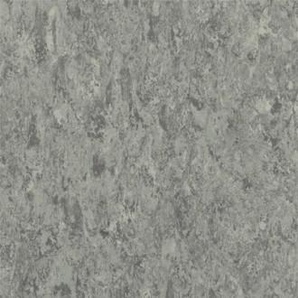 Linoleum Tarkett Veneto Silencio xf 3,8 mm - aluminium 672