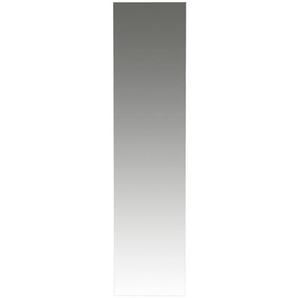 Livetastic Wandspiegel, Holzwerkstoff, rechteckig, 42x170x3 cm, senkrecht und waagrecht montierbar, Ganzkörperspiegel, Spiegel, Wandspiegel