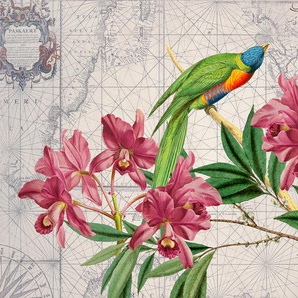 LIVING WALLS Fototapete ARTist Bird Discovery Tapeten Vlies, Wand, Schräge Gr. B/L: 4 m x 2,7 m, bunt (beige, gelb, grün) Fototapeten Blumen