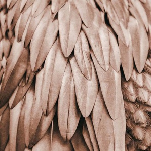 living walls Fototapete ARTist Feathers, (Set, 2 St), Vlies, Wand, Schräge