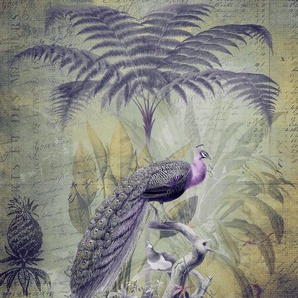 living walls Fototapete ARTist Peacock Jungle, (Set, 2 St), Vlies, Wand, Schräge