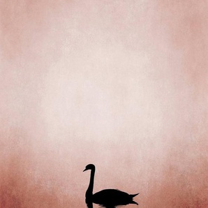 living walls Fototapete ARTist Swan Lake, (Set, 2 St), Vlies, Wand, Schräge