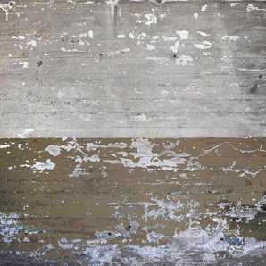 living walls Fototapete Designwalls Concrete Coated, glatt, (5 St), Vlies, Wand, Schräge, Decke