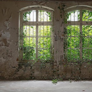living walls Fototapete Designwalls Old Window, glatt, (5 St), Vlies, Wand, Schräge, Decke