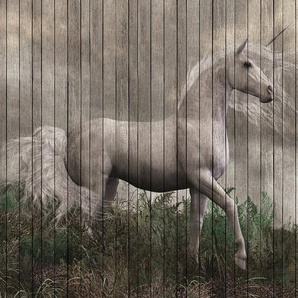 living walls Fototapete Walls by Patel Fantasy 3, glatt, (4 St), Vlies, Wand, Schräge