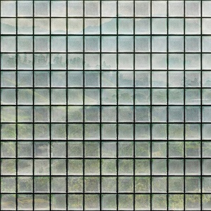 living walls Fototapete Walls by Patel Greenhouse, glatt, Vlies, Wand