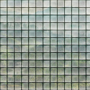 LIVING WALLS Fototapete Walls by Patel Greenhouse Tapeten Vlies, Wand Gr. B/L: 4,00 m x 2,7 m, grün (grün2) Fototapeten