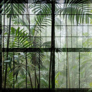 living walls Fototapete Walls by Patel Rainforest 1, glatt, (4 St), Vlies, Wand, Schräge