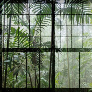LIVING WALLS Fototapete Walls by Patel Rainforest 1 Tapeten Gr. B/L: 4 m x 2,7 m, grün (grün, schwa) Fototapeten