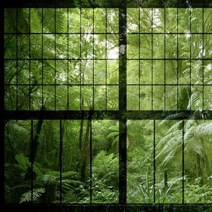 LIVING WALLS Fototapete Walls by Patel Rainforest 2 Tapeten Vlies, Wand, Schräge Gr. B/L: 4 m x 2,7 m, grün (grün, schwa) Fototapeten
