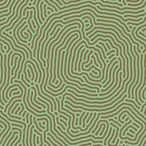 living walls Fototapete Walls by Patel Sahel, glatt, Vlies, Wand