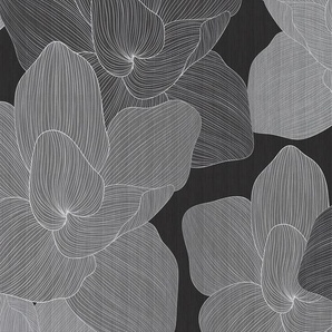 LIVING WALLS Fototapete Walls by Patel Secret Place Tapeten Fototapete Blumen secret place 5,00 m x 2,50 m 200 g Vlies Premium Gr. B/L: 5,00 m x 2,5 m, grau Fototapeten