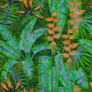 living walls Fototapete Walls by Patel Tropicana 4, glatt, (5 St), Vlies, Wand, Schräge