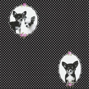 LIVING WALLS Vliestapete Little Stars Tapeten Kinderzimmertapete Tapete Tiere Gr. B/L: 0,53 m x 10,05 m, schwarz (schwarz, lila) Vliestapeten Tapeten