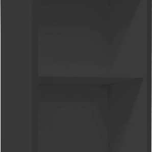 Aktenregal MÄUSBACHER Big System Office Regale Gr. B/H/T: 41 cm x 215 cm x 36 cm, 6 St., schwarz (schwarzstahl) Aktenregale Breite 41 cm