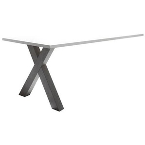 Mäusbacher Ansatzplatte Mister Office, X-Gestell 0205_160_X-1er