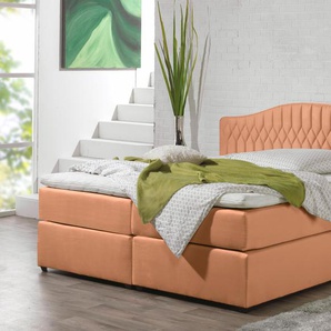 Boxspringbett MAINTAL Komplettbetten Gr. Liegefläche B/L: 160 cm x 200 cm, H2, Bonnell-Federkernmatratze, orange (terra) Bett Boxspringbett Boxspringbetten ohne Bettkasten Komplettbetten in diversen Ausführungen