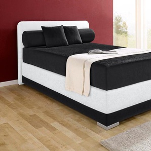 Boxspringbett MAINTAL Lago Komplettbetten Gr. Microvelours, Liegefläche B/L: 140 cm x 200 cm, Gewicht bis: 80 kg H2, 7-Zonen-Kaltschaummatratze, schwarz-weiß (schwarz, weiß) Boxspringbetten ohne Bettkasten in 3 verschiedenen Matratzenarten, H2 oder H3