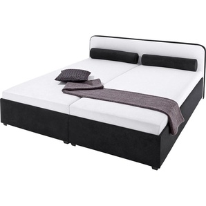 Polsterbett MAINTAL Betten Gr. Microvelours, Liegefläche B/L: 160 cm x 200 cm, kein Härtegrad, ohne Matratze, schwarz-weiß (weiß, schwarz) Bett Polsterbett Polsterbetten ohne Bettkasten Betten wahlweise mit