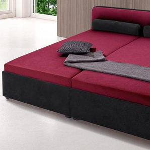 Polsterbett MAINTAL Betten Gr. Microvelours, Liegefläche B/L: 180 cm x 200 cm, kein Härtegrad, ohne Matratze, rot (bordeauxrot, schwarz) Bett Polsterbett Polsterbetten ohne Bettkasten Betten wahlweise mit