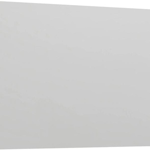 Spiegelpaneel MARLIN 3040 Spiegel Gr. B/H/T: 120 cm x 68,2 cm x 2,8 cm, grau (alu) Dekospiegel Breite 120 cm