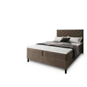 MASSENO Boxbett mit Bettkasten Rokis ¦ beige ¦ Maße (cm): B: 140 H: 98