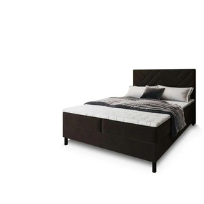 MASSENO Boxbett mit Bettkasten Rokis ¦ braun ¦ Maße (cm): B: 140 H: 98