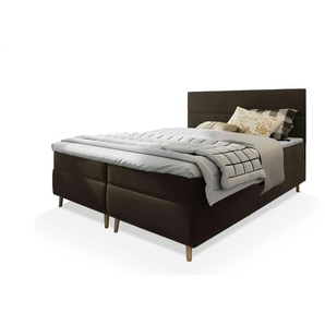 MASSENO Boxbett mit Bettkasten Santa ¦ braun ¦ Maße (cm): B: 140 H: 108