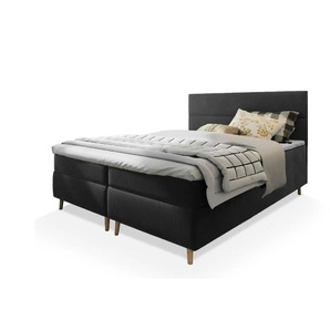 MASSENO Boxbett mit Bettkasten Santa ¦ grau ¦ Maße (cm): B: 160 H: 108