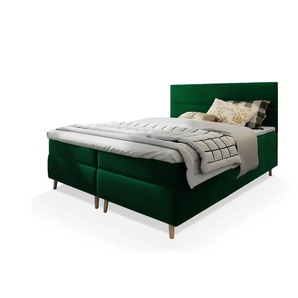 MASSENO Boxbett mit Bettkasten Santa ¦ grün ¦ Maße (cm): B: 140 H: 108