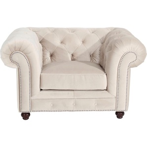 Chesterfield-Sessel MAX WINZER Old England Sessel Gr. Samtvelours 20442, B/H/T: 131 cm x 76 cm x 96 cm, beige (creme) Chesterfield Sessel mit edler Knopfheftung