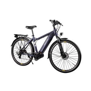 Maxtron E-Bike Trekkingrad »MT-13X«, 28 Zoll