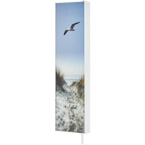 Mehrzweckschrank Bellano | blau | 48 cm | 191 cm | cm 20,0 |