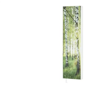 Mehrzweckschrank - grün - Materialmix - 48 cm - 191 cm - cm 20,0 | Möbel Kraft