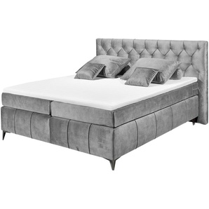 meinBett Boxspringbett Pembroke ¦ grau ¦ Maße (cm): B: 200 H: 121