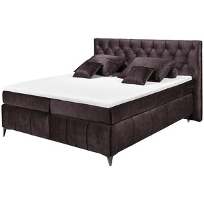 meinBett Boxspringbett  Pembroke ¦ lila/violett ¦ Maße (cm): B: 200 H: 121