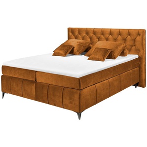 meinBett Boxspringbett Pembroke ¦ orange ¦ Maße (cm): B: 200 H: 121
