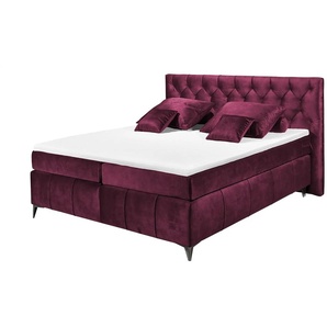 meinBett Boxspringbett Pembroke ¦ rot ¦ Maße (cm): B: 200 H: 121