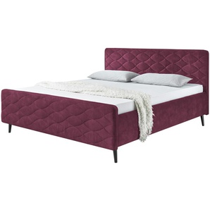 meinBett Polsterbettgestell  Mariano A ¦ rot ¦ Maße (cm): B: 149 H: 108