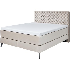 Meise Möbel LA Maison Boxspringbett Metallfuß/Stoff Riviera 100%