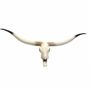 Mendler Deko Kuhschädel HWC-D32, Stierkopf Bulle Tierkopf Longhorn Trophäe, Polyresin 103x43x11cm ~ Variante 62698