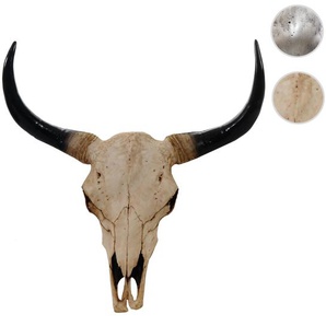 Mendler Deko Schädel 45cm HWC-T454, Polyresin Stier Bulle Longhorn Kopf Trophäe, In-/Outdoor ~ Variantenange 57015